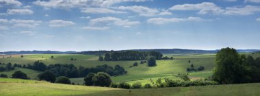 stavelot yakın Belçika ardennes sığır ile manzara