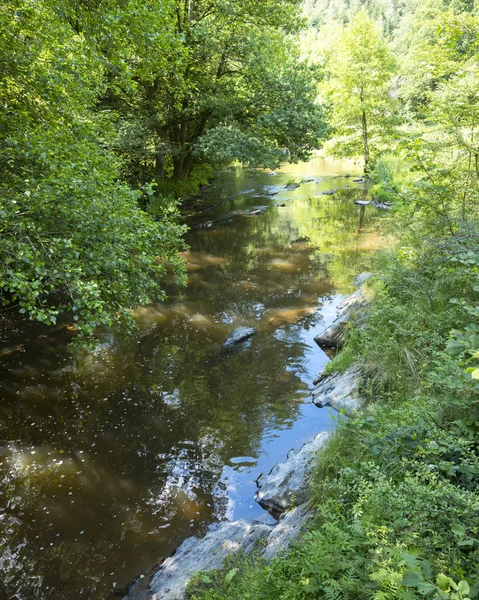 Trees reflected in water of river ourthe near houffalize in belg — Stock Photo, Image