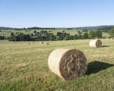 belçika ardennes bölgesinde stavelot yakın çayırda saman balyaları und