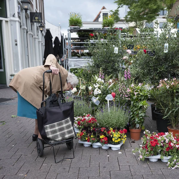 Velha senhora com carrinho de compras no mercado de flores na cidade holandesa de — Fotografia de Stock