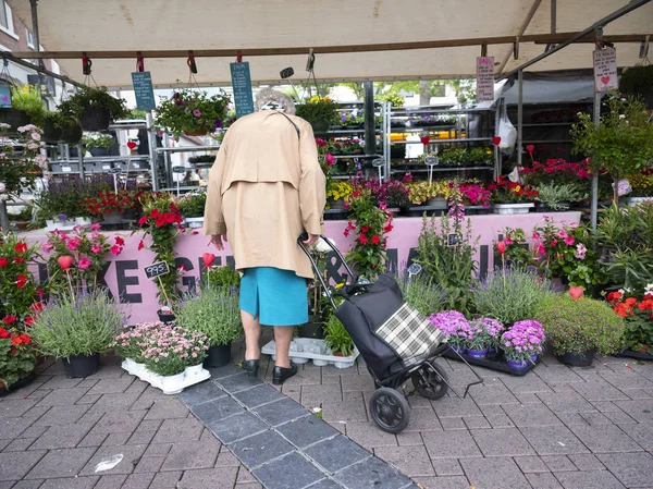 Oude dame met winkelwagentje op bloemenmarkt in de Nederlandse stad — Stockfoto