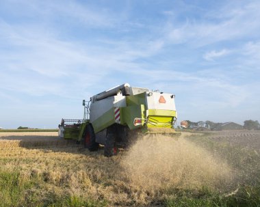 mavi s altında friesland arpa hasat sırasında sahada makine
