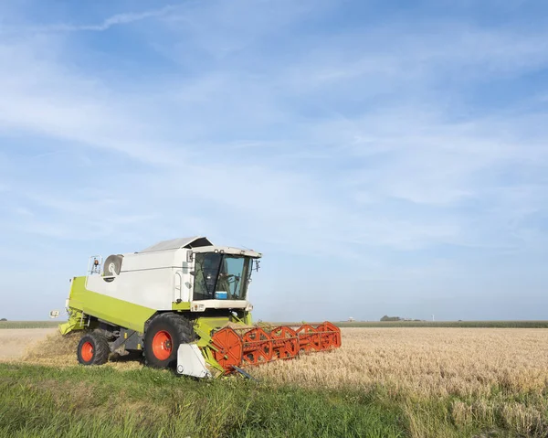 Bearbeta med maskin på sätter in under korn skörd i Friesland under blått s — Stockfoto