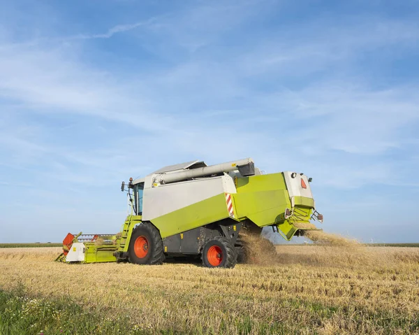 Macchina in campo durante la raccolta dell'orzo in friesland sotto il blu s — Foto Stock