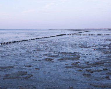 waddenzee veya gün batımı nda wadd deniz ameland iskelegörülen f