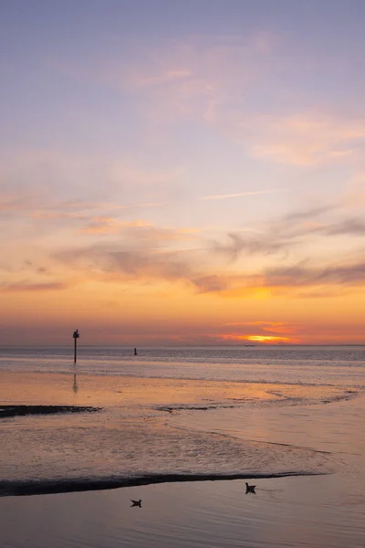 Waddenzee ou wadd mar durante o pôr do sol visto a partir de molhe de ameland f — Fotografia de Stock