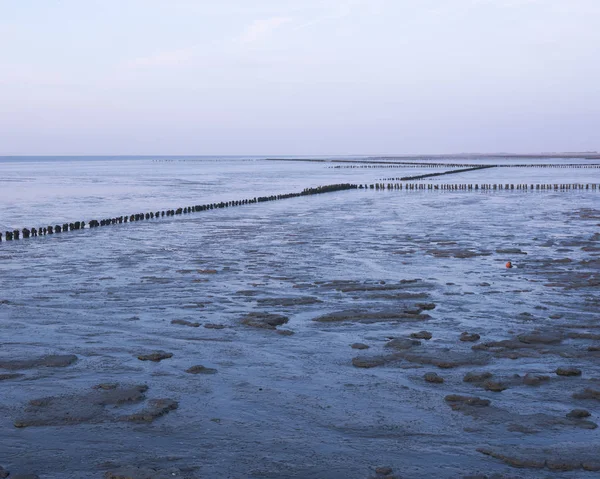 Waddenzee lub wAdd morze podczas zachodu słońca widziany z molo w Ameland f — Zdjęcie stockowe