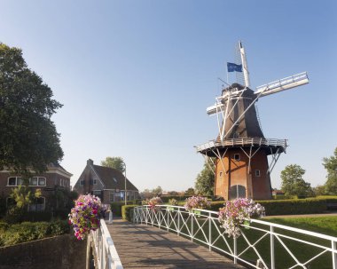dokkum Hollanda kasabasında köprü ve eski yel değirmeni üzerinde çiçekler