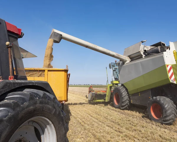hiçbir kırsal arpa hasat sırasında hasat birleştirmek