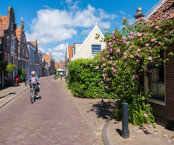 Oude dame op de fiets passeert roze rozen in oude straat van Edam in Holland — Stockfoto