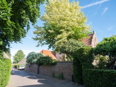 Hollanda 'nın küçük Bronkhorst kasabasında çiçek açan ağaçlar.