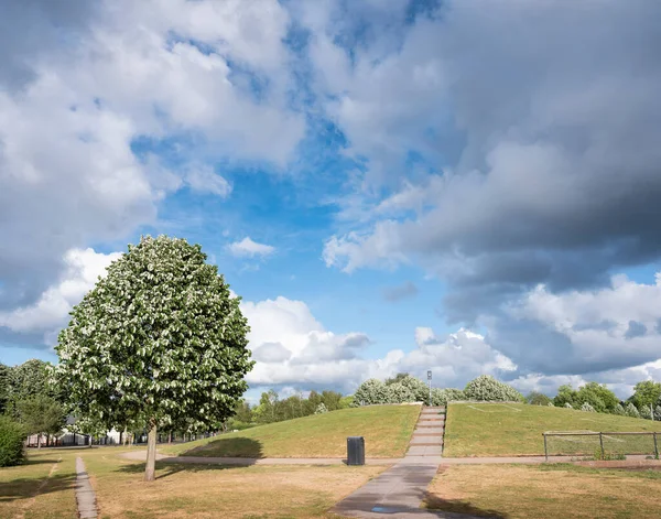 Cielo azul nublado sobre griftpark en la ciudad de utrecht — Foto de Stock