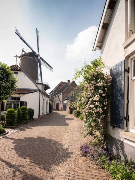 Molino de viento y soleada calle de verano en wijk bij duurstede Fotos de stock