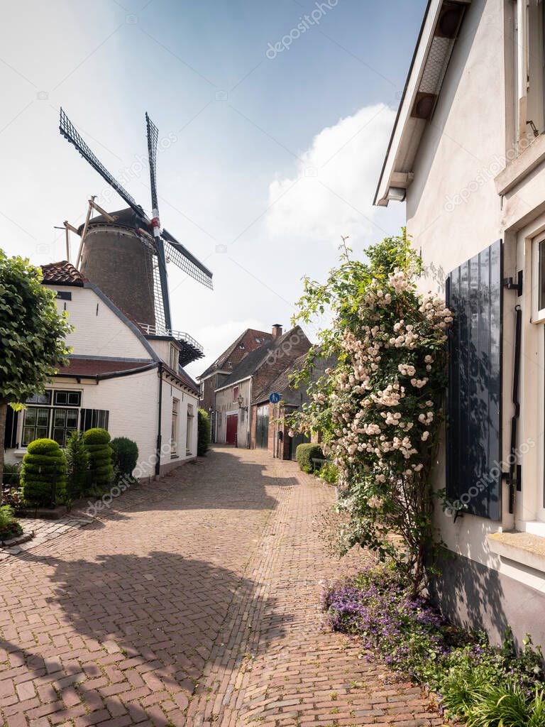 windmill and sunny old summer street in wijk bij duurstede