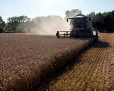 combine working on grain field during harvest in the north of france clipart