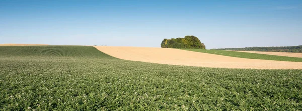 Patrones típicos casi abstractos del paisaje del campo agrícola en el norte de Francia bajo el cielo azul —  Fotos de Stock