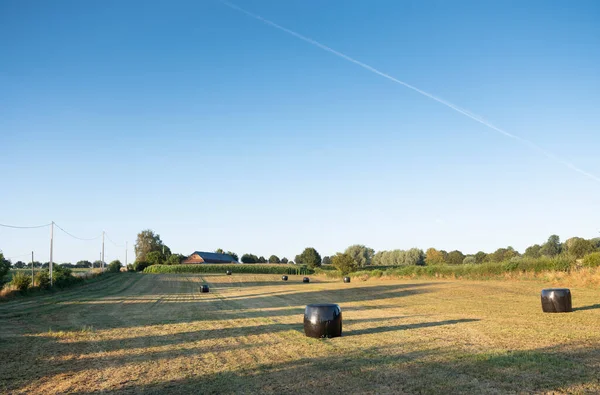 Paisagem rural com fazenda no norte da frança perto de valenciennes — Fotografia de Stock