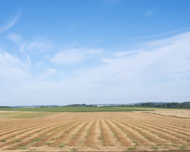 Kuzey Fransa 'nın kırsal açık arazisi past nord pas de calais