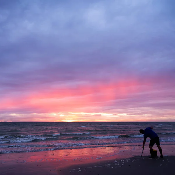 Hombre en la playa de Normandía durante la puesta del sol busca gusanos para usar como cebo para la pesca — Foto de Stock