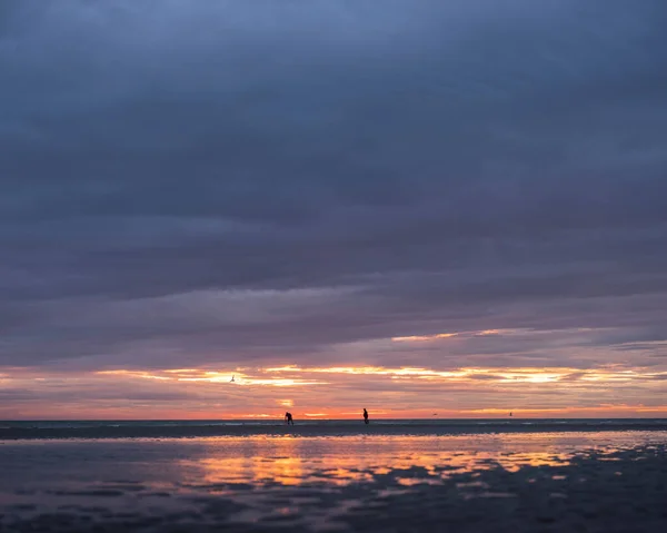 Hombres en la playa de Normandía durante la puesta del sol buscan gusanos para usar como cebo para la pesca — Foto de Stock