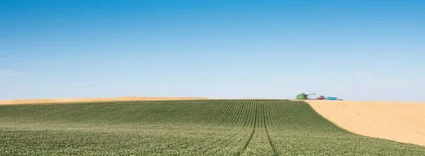 青い空の下フランス北部の農地の風景の典型的な抽象的なパターンは — ストック写真