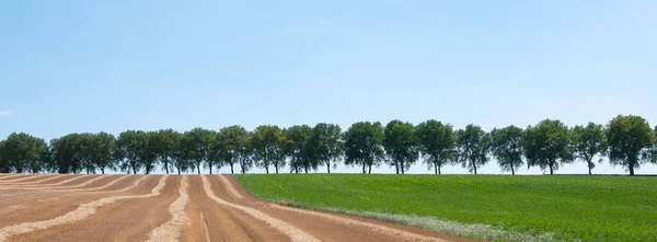 Paisaje rural con árboles en el norte de Francia cerca de valenciennes —  Fotos de Stock