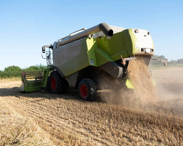 Combinare la lavorazione sul campo di grano durante il raccolto nel nord della Francia — Foto Stock