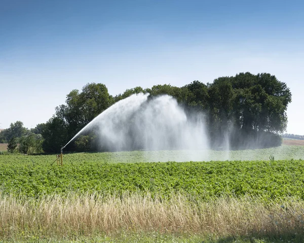 Άρδευση καλλιεργειών σε αγρούς στη βόρεια Γαλλία — Φωτογραφία Αρχείου