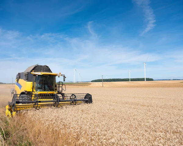 Combinare la lavorazione sul campo di grano durante il raccolto nel nord della Francia — Foto Stock