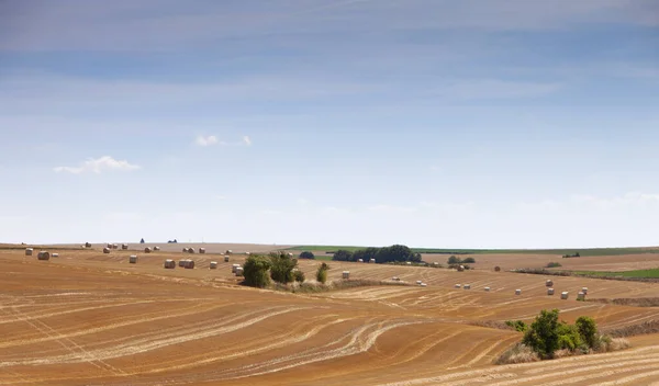 Fardos de paja en colinas onduladas del norte de Francia bajo el cielo azul —  Fotos de Stock