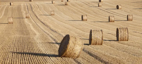 Fardos de paja en colinas onduladas del norte de Francia bajo el cielo azul —  Fotos de Stock