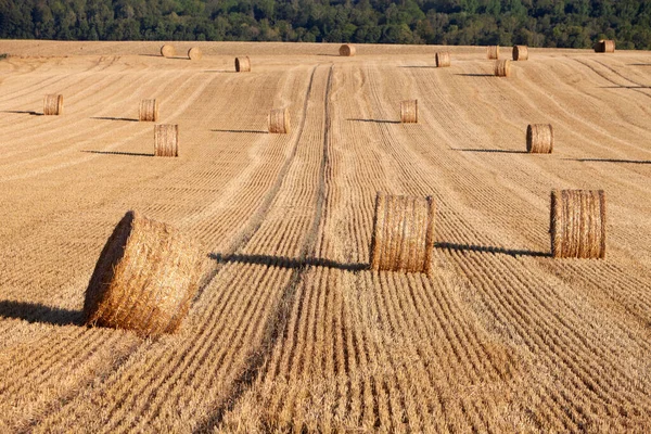 Balíky slámy ve zvlněných kopcích severní Francie pod modrou oblohou — Stock fotografie