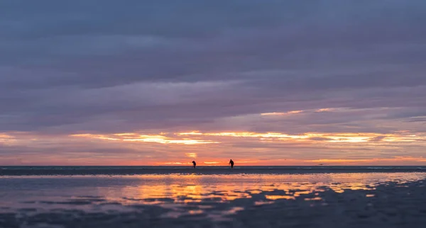 日落时分，人们在诺曼底海滩上寻找蚯蚓作为捕鱼的诱饵 — 图库照片