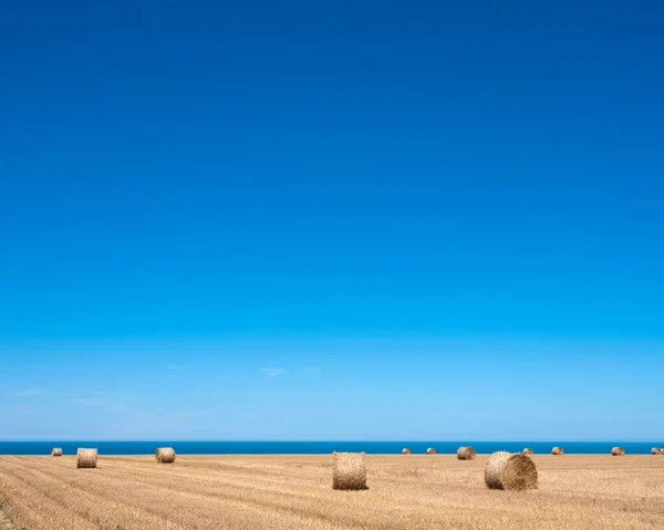 Rolky slámy na poli pod modrou oblohou s oceánem v pozadí ve francouzské Normandii — Stock fotografie