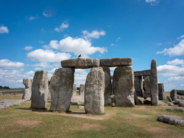 Stonehenge, İngiltere, 28 Haziran 2025: İngiltere 'nin Wiltshire ilçesinde mavi gökyüzü altında antik stonehenge kalıntıları üzerinde siyah kuş silueti
