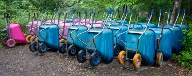 Islak ormanda kullanılmayı bekleyen bir sürü parlak mavi ve pembe tekerlek tekeri var.