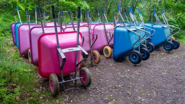 Islak ormanda kullanılmayı bekleyen bir sürü parlak mavi ve pembe tekerlek tekeri var.