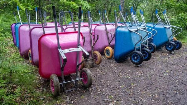 Islak ormanda kullanılmayı bekleyen bir sürü parlak mavi ve pembe tekerlek tekeri var.