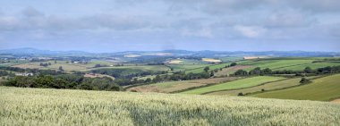 Güney Cornwall 'da, mavi gökyüzünün altında tarlaları ve çayırları olan kırsal alan.
