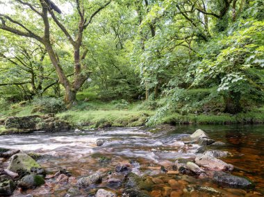 İngiltere Ulusal Parkı 'ndaki Dartmoor köprüsünün yakınında nehir tavy' nin hızlı akan suyu