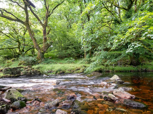 İngiltere Ulusal Parkı 'ndaki Dartmoor köprüsünün yakınında nehir tavy' nin hızlı akan suyu