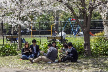 Japonya, Tokyo, 04/12/2017. Arkadaş bir şirket parkta öğle yemeği