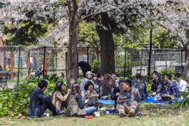 Japonya, Tokyo, 04/12/2017. Arkadaş bir şirket parkta öğle yemeği