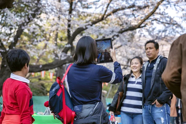 东京04 2017 公园里的人给开花的树木拍照 — 图库照片
