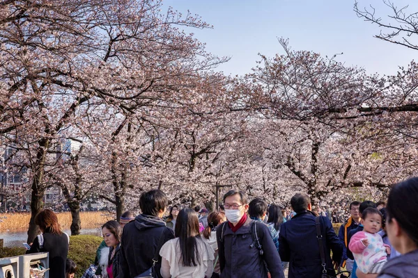 Japan Tokio 2017 Eine Menschenmenge Spaziert Durch Den Park Mit — Stockfoto