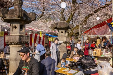 Japonya, Tokyo 04/04/2017. Bir sürü insan üzerinde piknik parkta blooming sakura