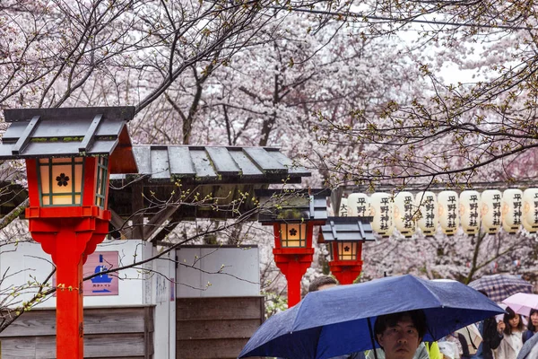 Japan, Kyoto, 04 / 07 / 2017. Hanami-Feier in einem japanischen Park — Stockfoto