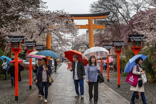 Japón, Kioto, 04 / 07 / 2017. Puerta al parque japonés con flores de cerezo — Foto de Stock