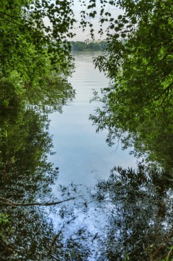 Nehir ağaçlarda yeşildir.. 