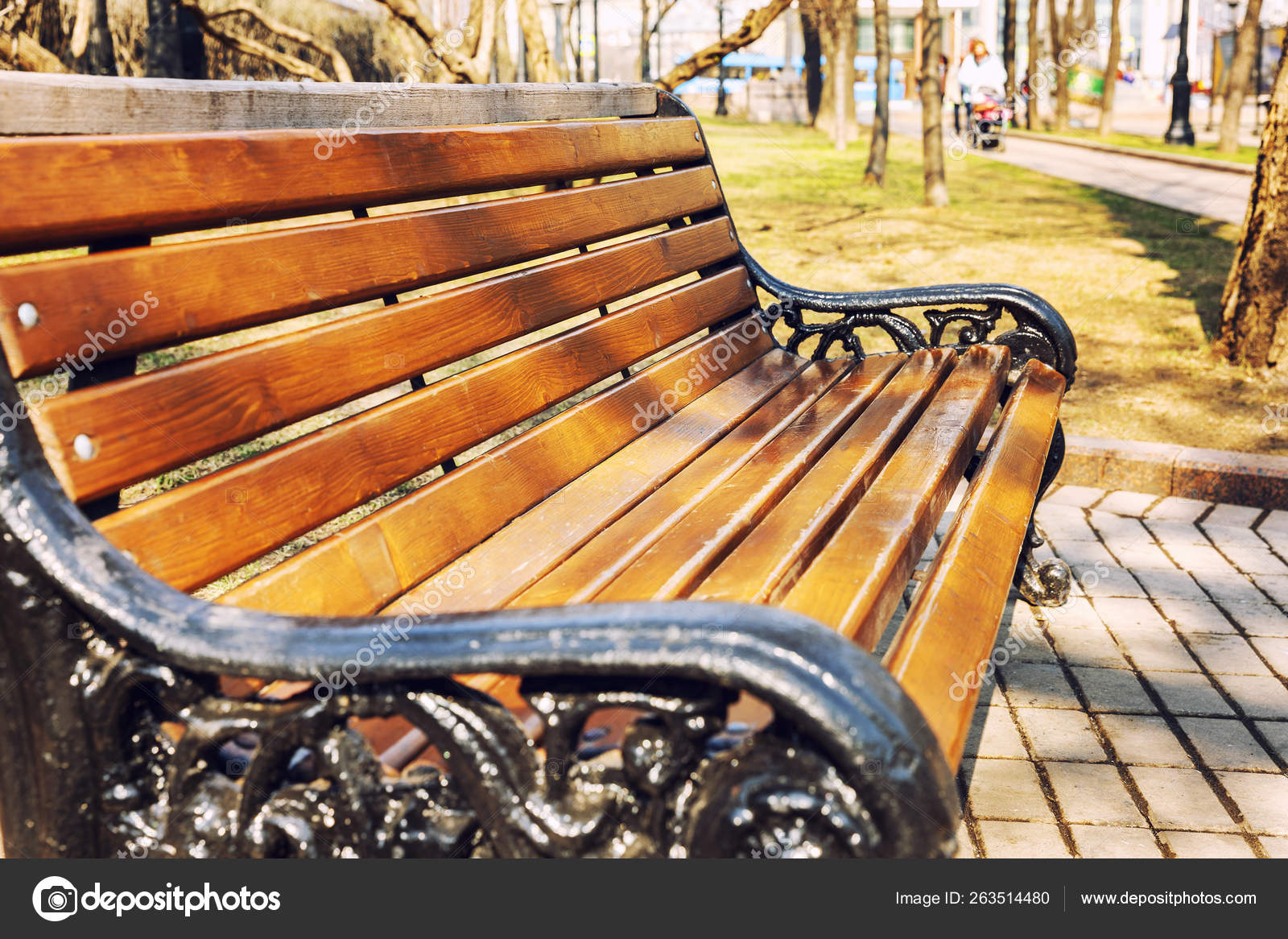 晴れた日に公園内に金属パターンを持つ木製のベンチ ストック写真 C Demanna 晴れた日に公園内に金属パターンを持つ木製のベンチ ストック写真 C Demanna